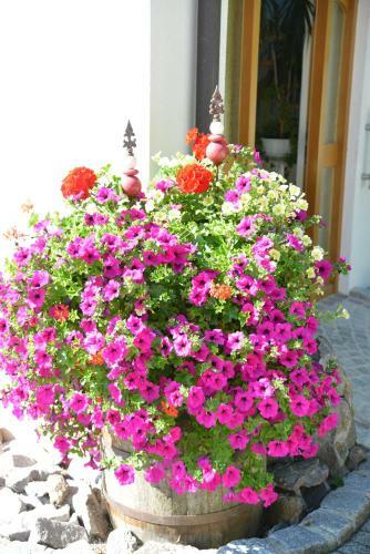 Hostal Landhaus Waldfrieden