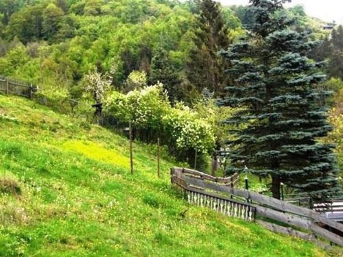 Spacious Apartment In Neuwerk Near Ski Area