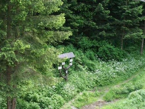 Spacious Apartment In Neuwerk Near Ski Area