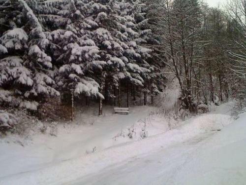 Spacious Apartment In Neuwerk Near Ski Area
