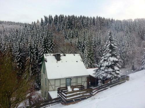 Spacious Apartment In Neuwerk Near Ski Area