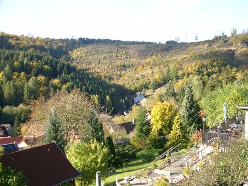 Spacious Apartment In Neuwerk Near Ski Area