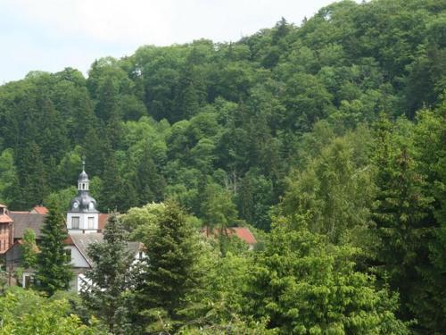 Spacious Apartment In Neuwerk Near Ski Area