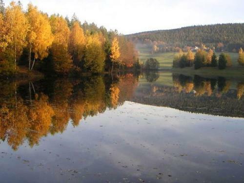 Apartamento Charming Holiday Home In Neureichenau, 8 Km From Ski Area