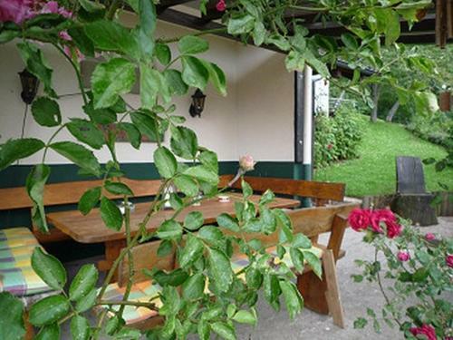 Hostal Pension Hildegund