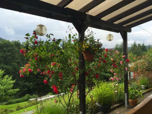 Hostal Pension Hildegund