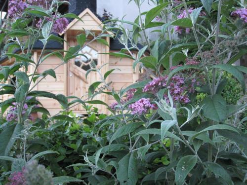 Hostal Pension Hildegund