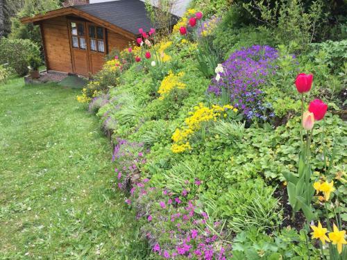 Hostal Pension Hildegund
