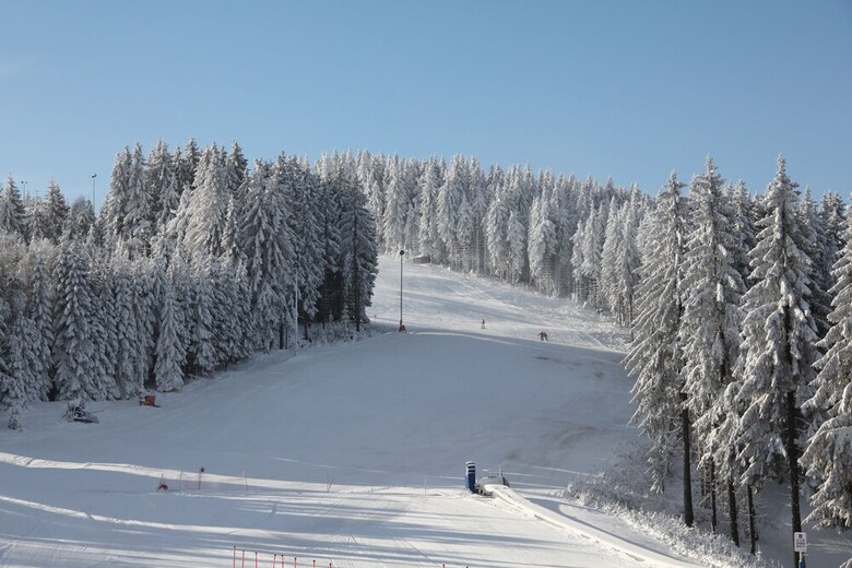 Waldhotel Berghof