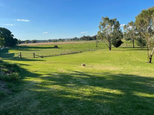Almas Mudgee