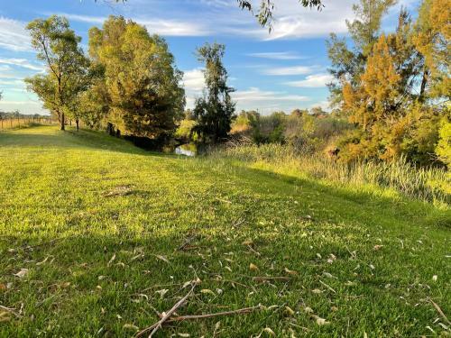 Almas Mudgee
