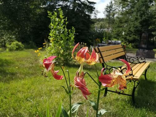 Bed & Breakfast Au Cachalot Cach� Le G�te H�tel