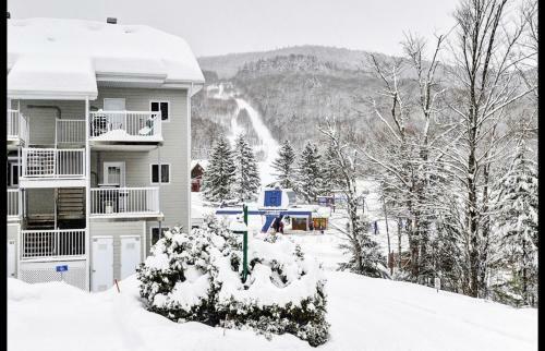 Apartamento Condo Ski-in Ski-out Stoneham