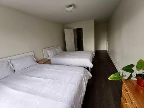 Hostal Newly Renovated Queen Bed Private Room Full Kitchen Backyard W/deck North York