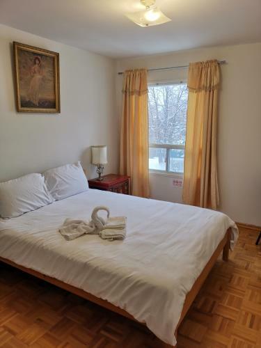 Hostal Newly Renovated Queen Bed Private Room Full Kitchen Backyard W/deck North York