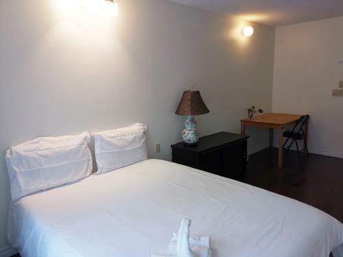 Hostal Newly Renovated Queen Bed Private Room Full Kitchen Backyard W/deck North York