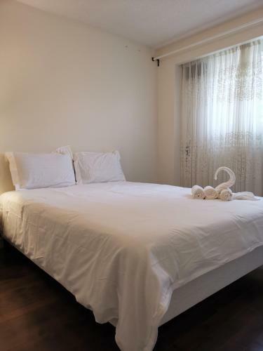 Hostal Newly Renovated Queen Bed Private Room Full Kitchen Backyard W/deck North York