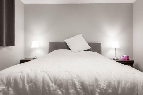 Entire 2 Bedroom Apartment Uptown Waterloo Kw
