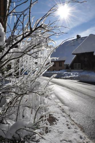 Hotel Hirschen