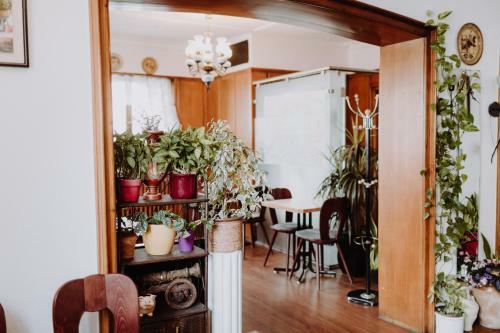 Hostal G�stehaus Moorbadstuben