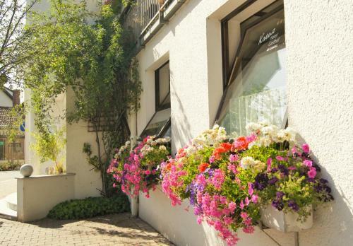 Posada Gasthof Hotel L�wen
