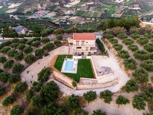 Villa Alpha Estate Olive Grove
