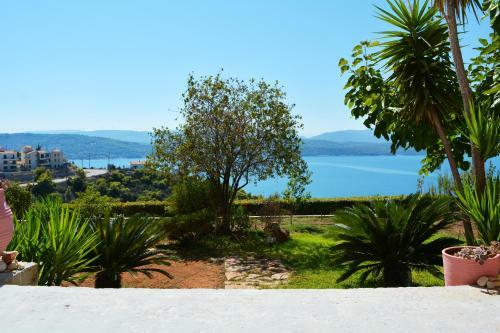 Villa View-topia