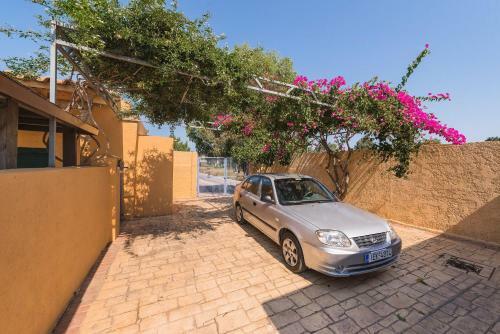 Eleftherias Garden House