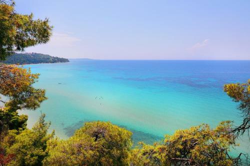 Ariadni Villa Sani