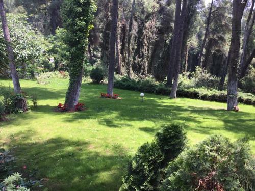 Beautiful Summerhouse In Sani's Pine Forest