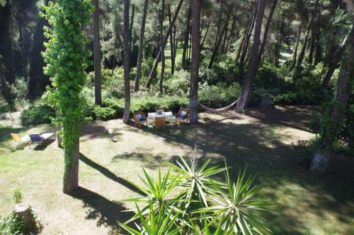Beautiful Summerhouse In Sani's Pine Forest