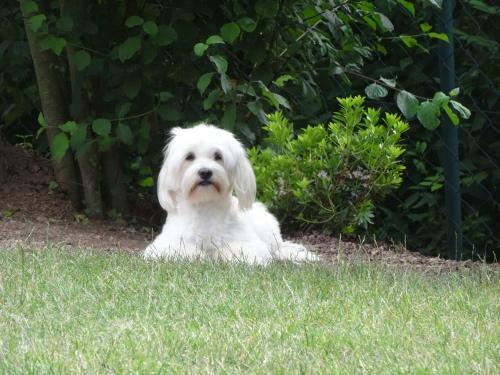 Hostal Guest House Pension Landhaus