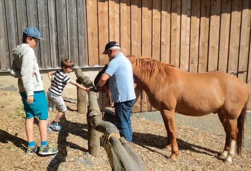 Hotel Landgasthof Dittersdorfer H�he