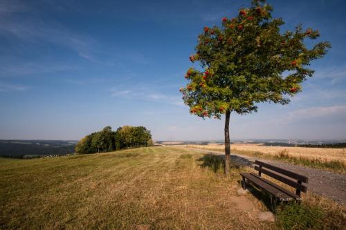 Hotel Landgasthof Dittersdorfer H�he