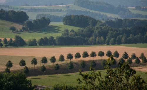 Hotel Landgasthof Dittersdorfer H�he