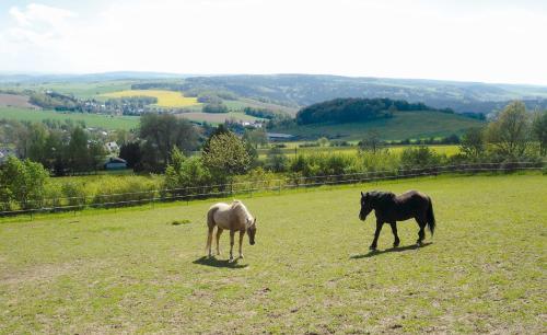 Hotel Landgasthof Dittersdorfer H�he