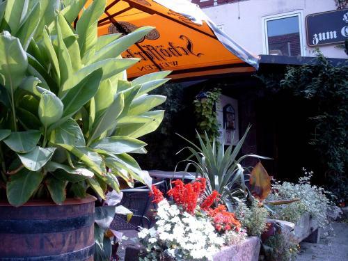 Hostal Fritz'es Goldener Stern