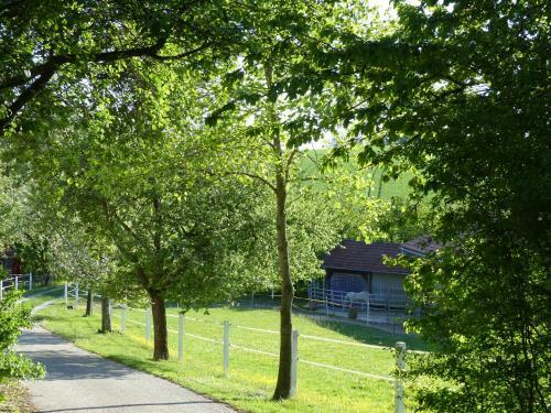 Apartamentos Ferienhaus Schwarz�n Hof