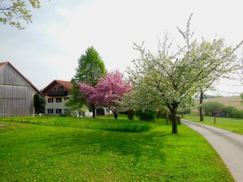 Apartamentos Ferienhaus Schwarz�n Hof