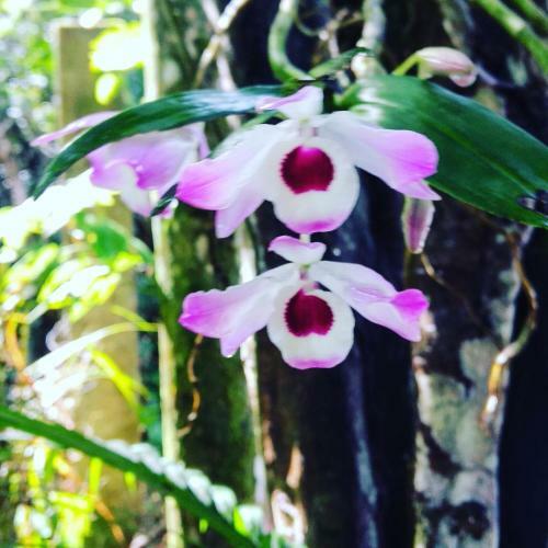 S�tio Canto Das �guas