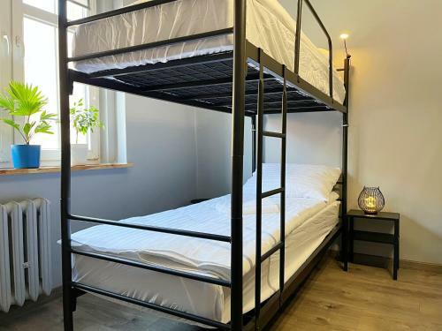 Albergue Noclegi Pod Muflonem