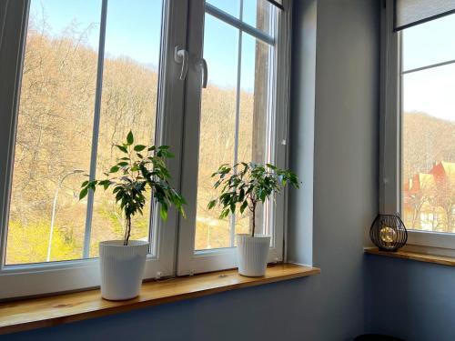 Albergue Noclegi Pod Muflonem