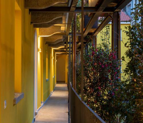 Apartamento Casa Coppa - Appartamento Jasmine- Nuova Apertura