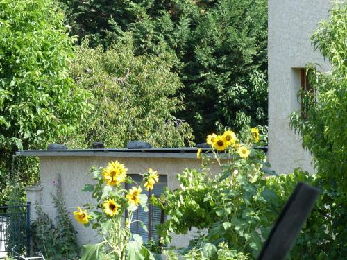 Apartamentos Appartement L'orel