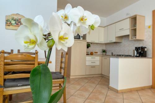 Apartamento Izzhome Asproni