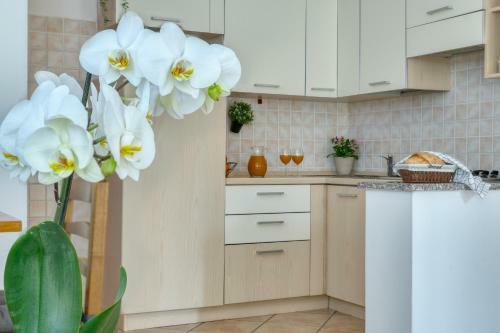 Apartamento Izzhome Asproni