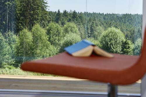 Hotel Schwarzwald Lodge Rothaus