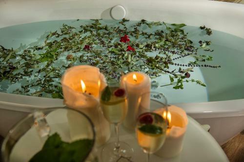 Bayern Resort Hotel (adults Only)
