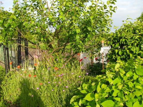 Apartamento Ferienwohnung Am Dorfplatz