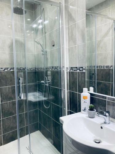 Apartamento L'indus - Mont D'home - Saint-roch